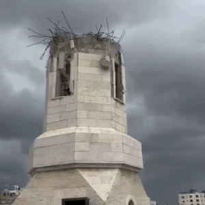 ترميم مسجد النصر بغزة
